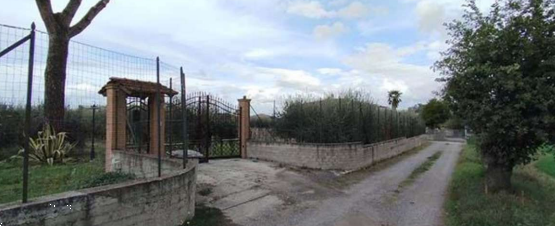 Foto annuncio 6