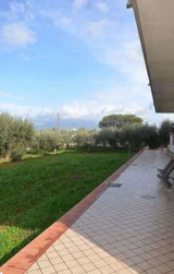 Foto annuncio 12