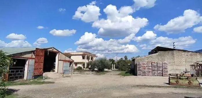 Foto annuncio 1