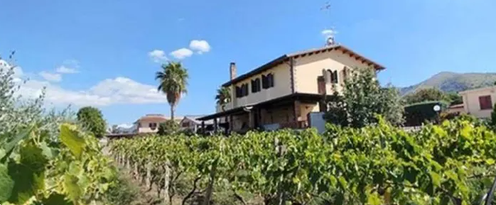 Foto annuncio 2