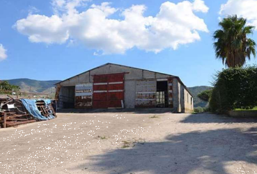 Foto annuncio 9