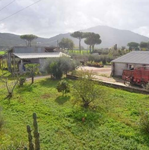 Foto annuncio 13