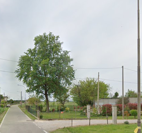 Foto annuncio 9