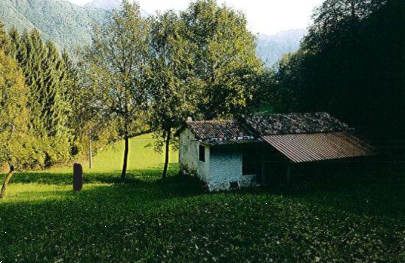 Foto annuncio 1