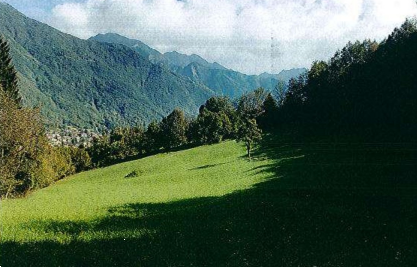 Foto annuncio 8