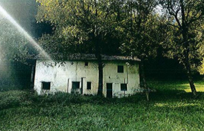Foto annuncio 10