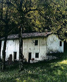 Foto annuncio 20