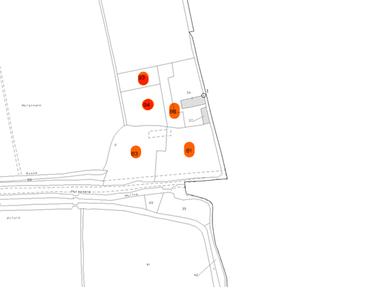 Foto annuncio 12
