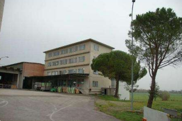 Foto annuncio 4