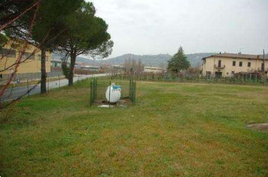 Foto annuncio 6