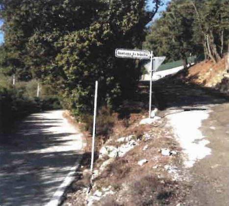 Foto annuncio 1