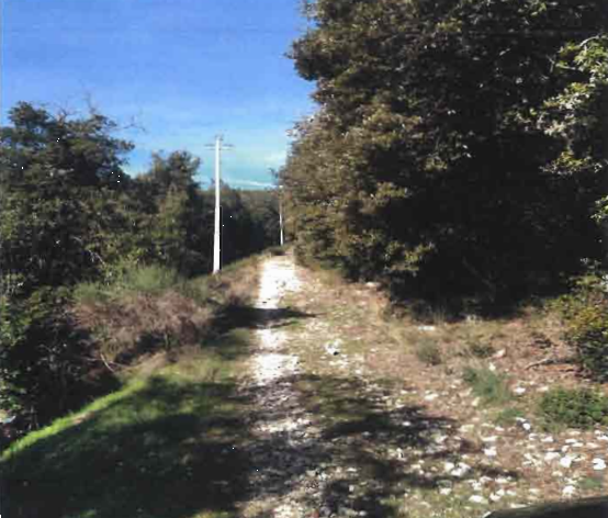 Foto annuncio 2
