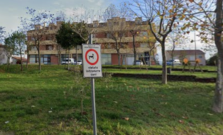 Foto annuncio 10