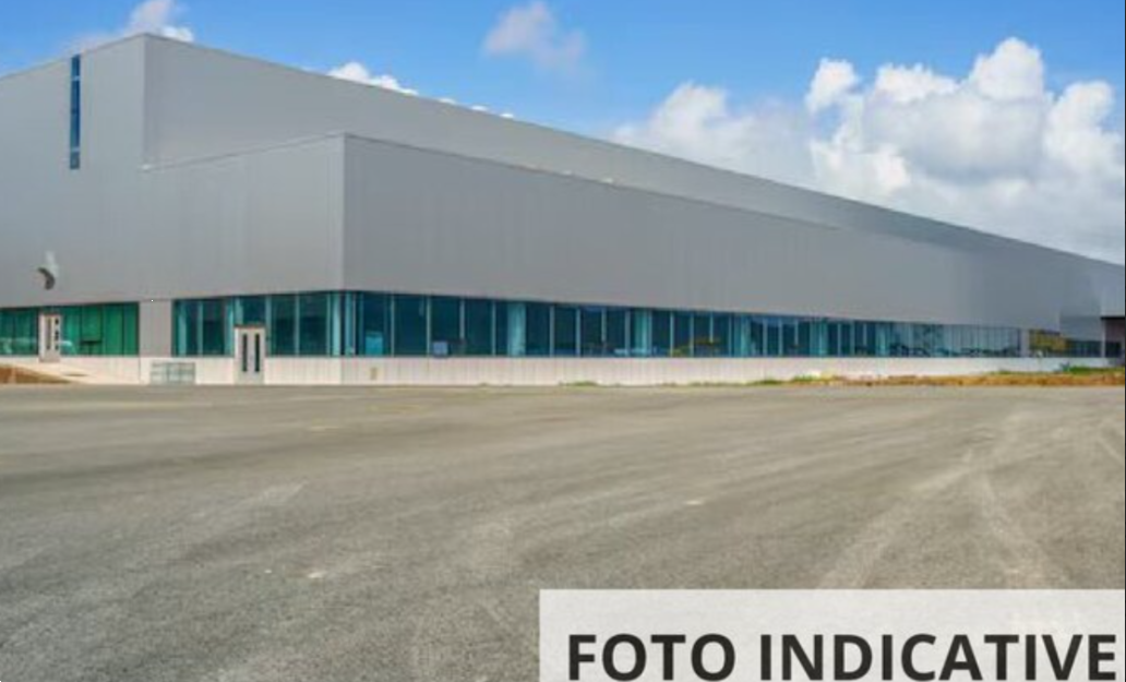 Foto annuncio 10