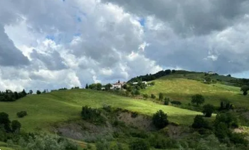 Foto annuncio 12