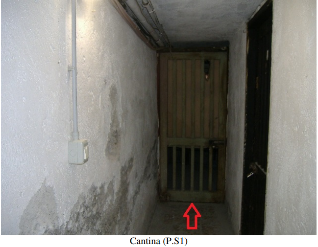 Foto annuncio 8