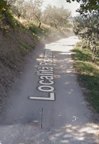 Foto annuncio 15