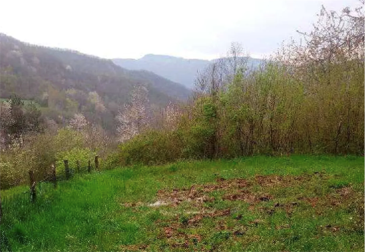 Foto annuncio 10