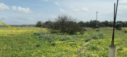 Foto annuncio 2