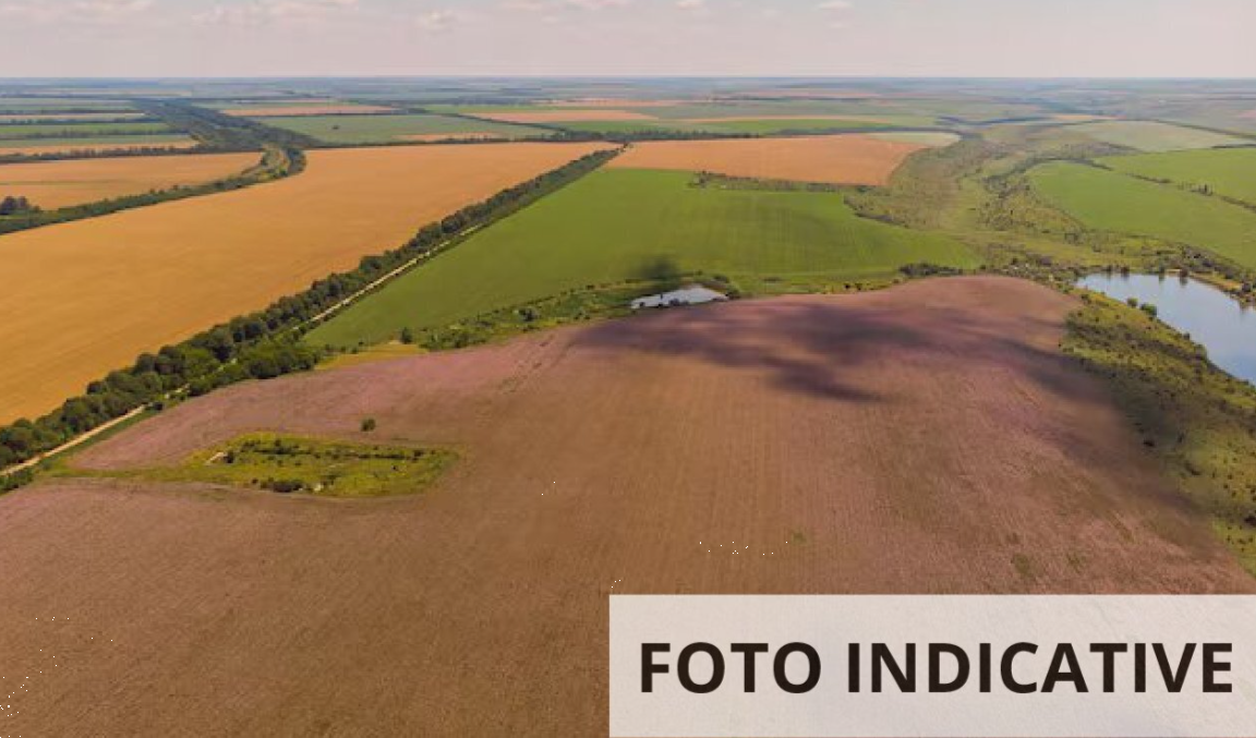 Foto annuncio 9