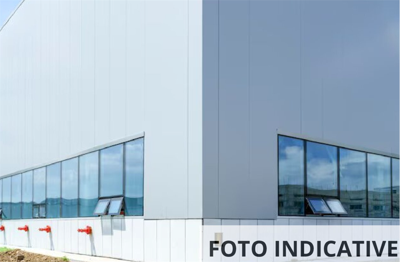 Foto annuncio 10
