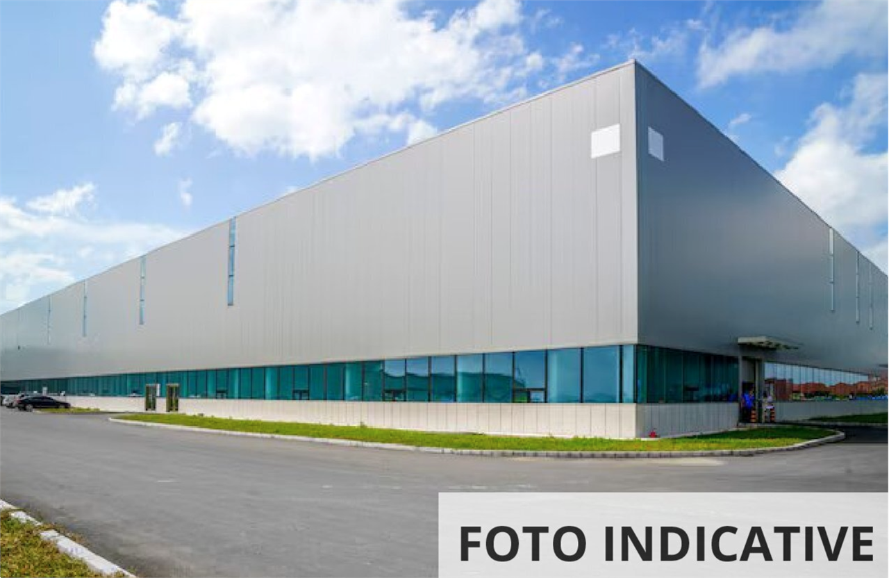 Foto annuncio 11