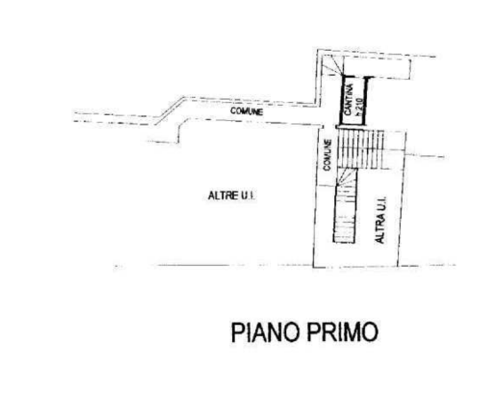 Foto annuncio 19
