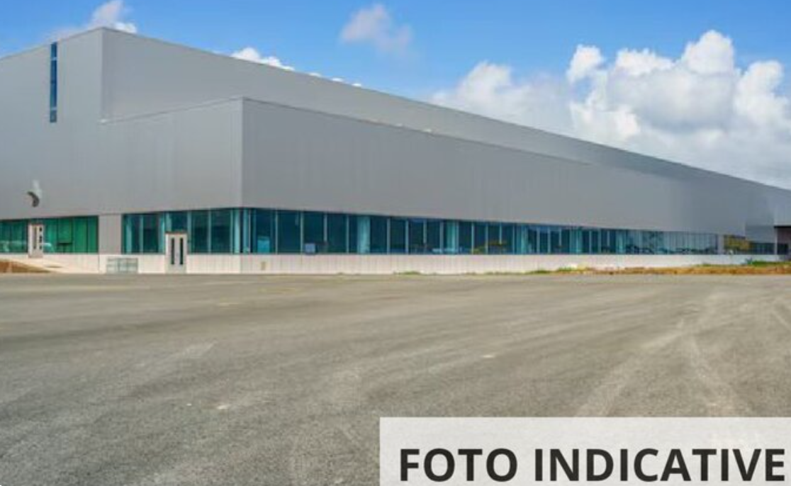 Foto annuncio 11