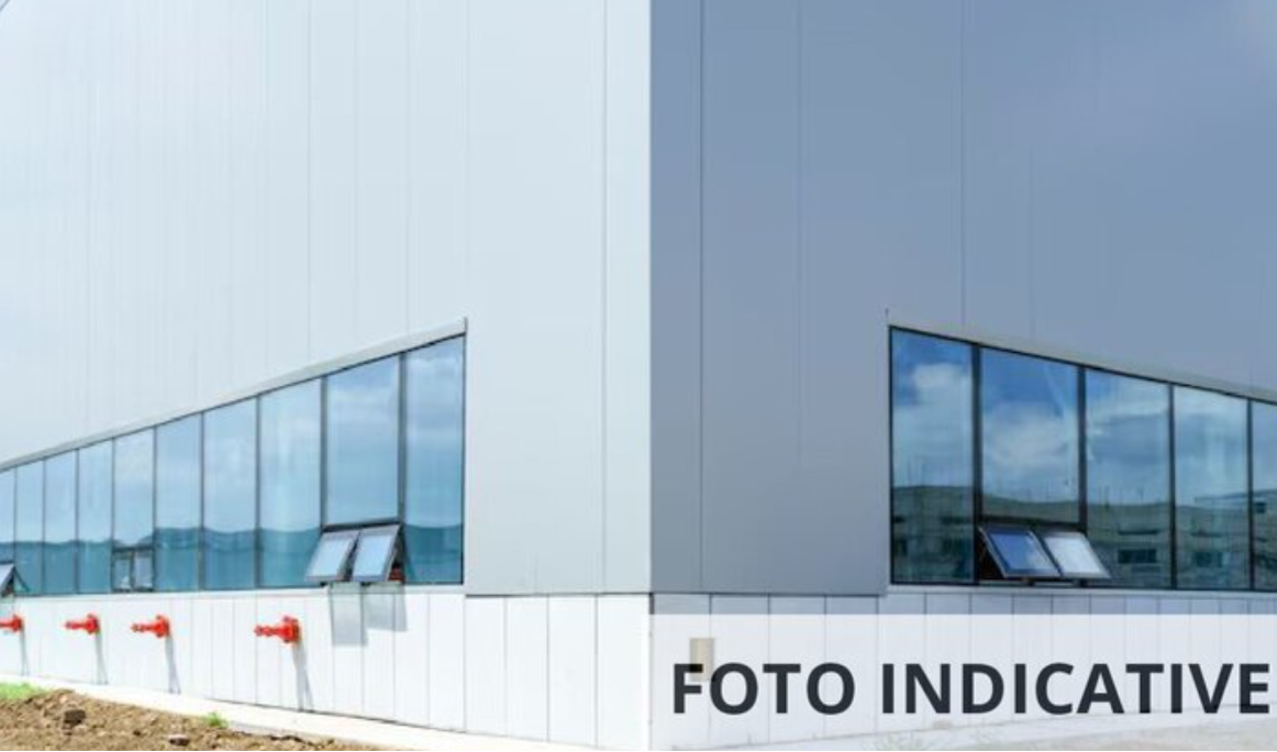 Foto annuncio 11