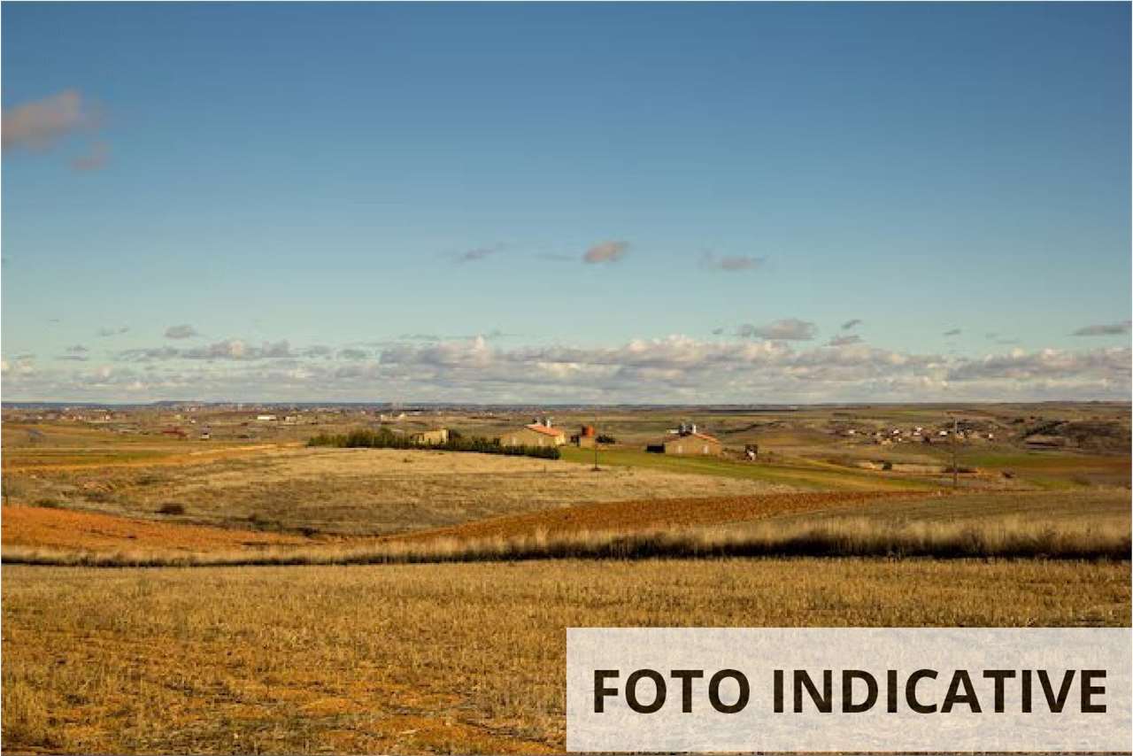 Foto annuncio 14
