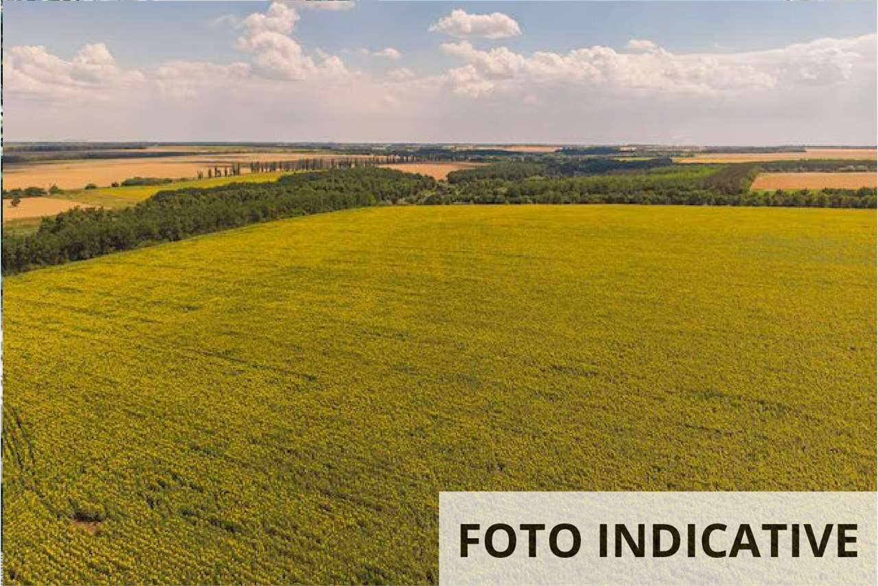 Foto annuncio 17