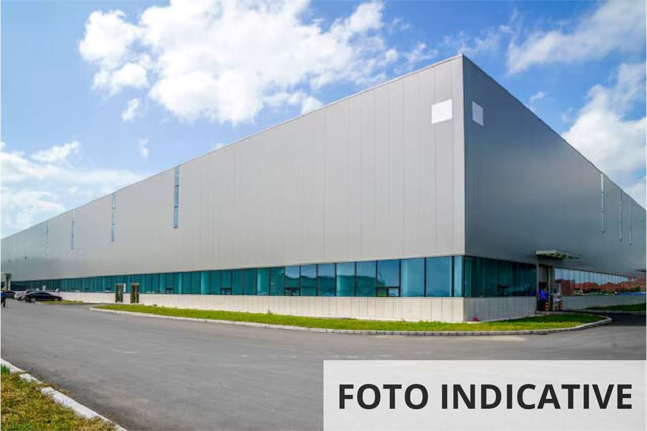 Foto annuncio 18