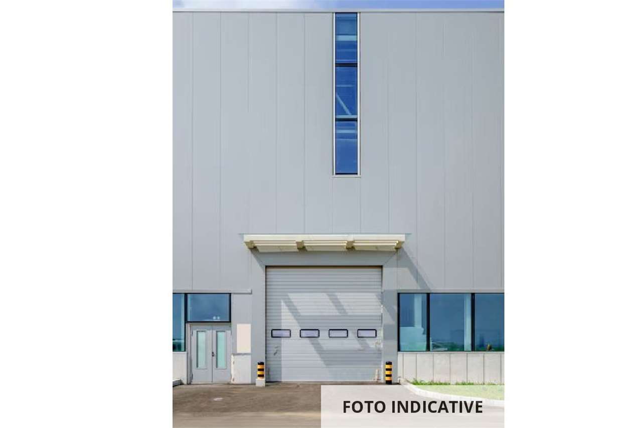 Foto annuncio 19