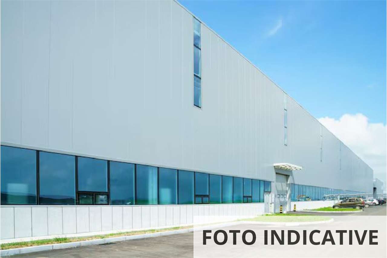 Foto annuncio 20
