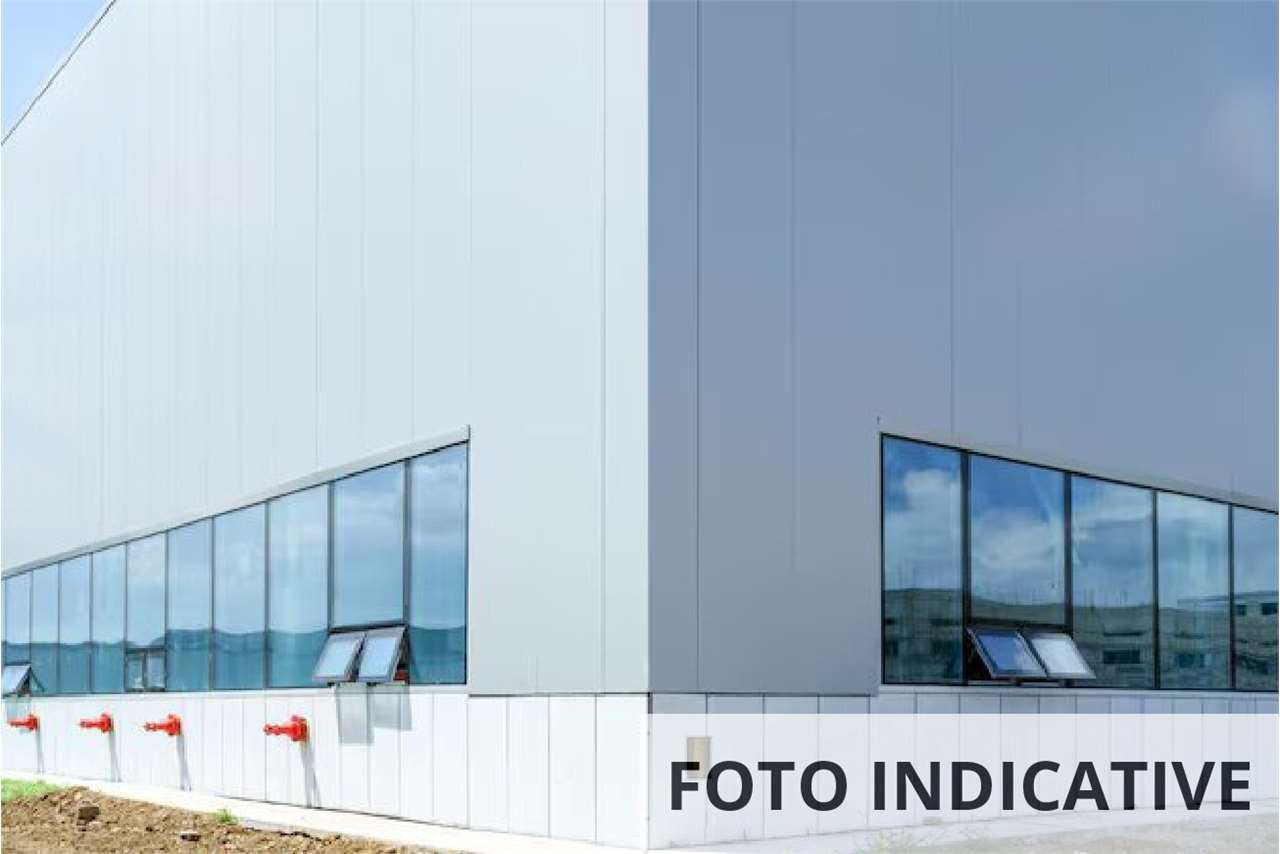 Foto annuncio 15