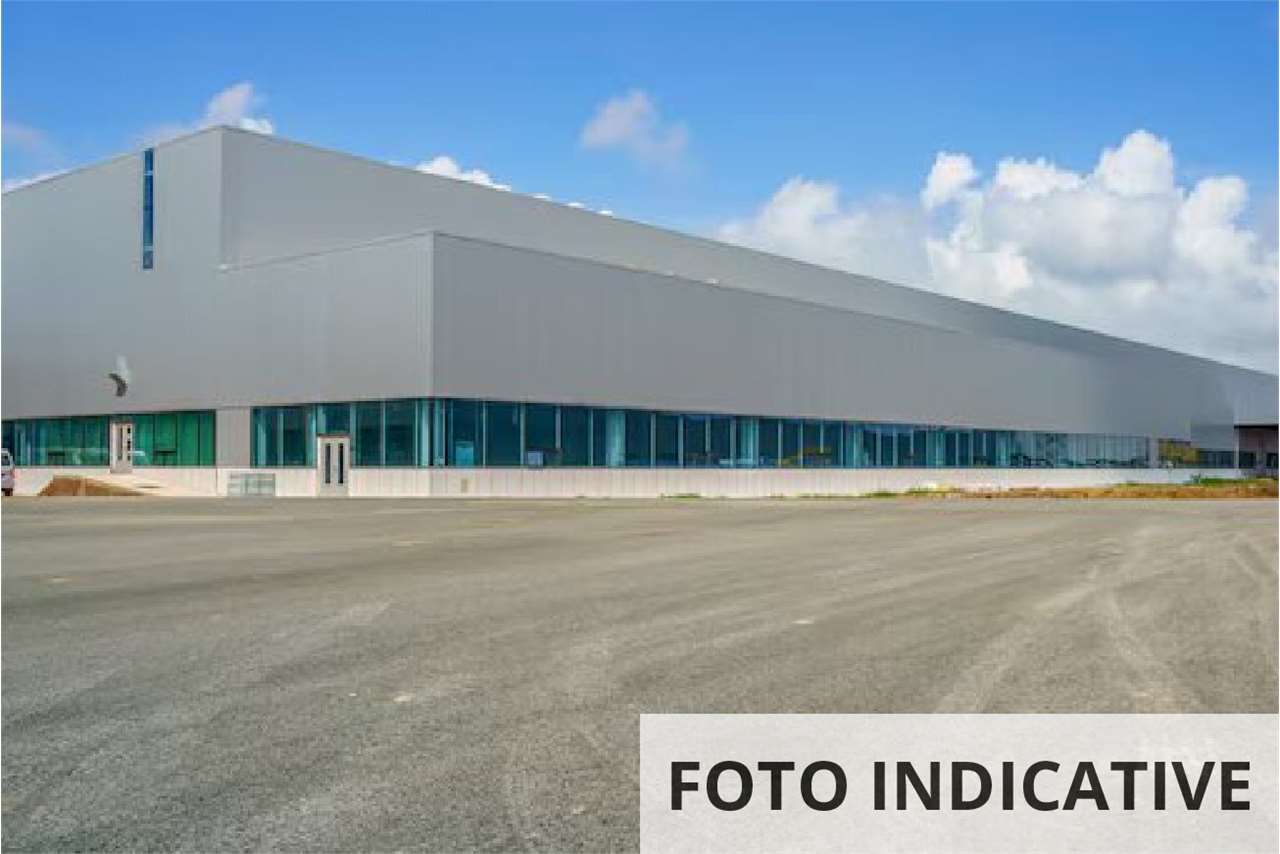 Foto annuncio 16