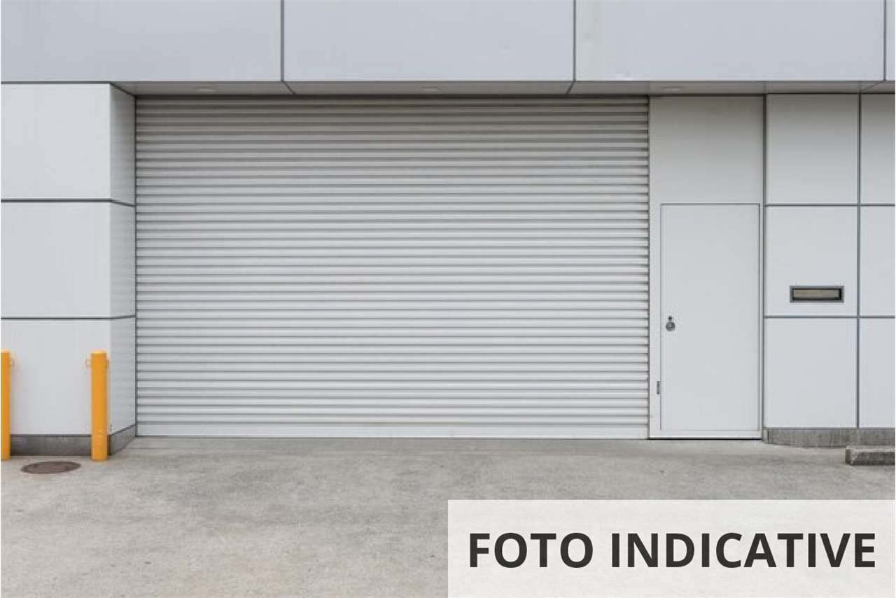 Foto annuncio 12