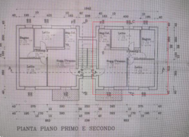 Foto annuncio 13