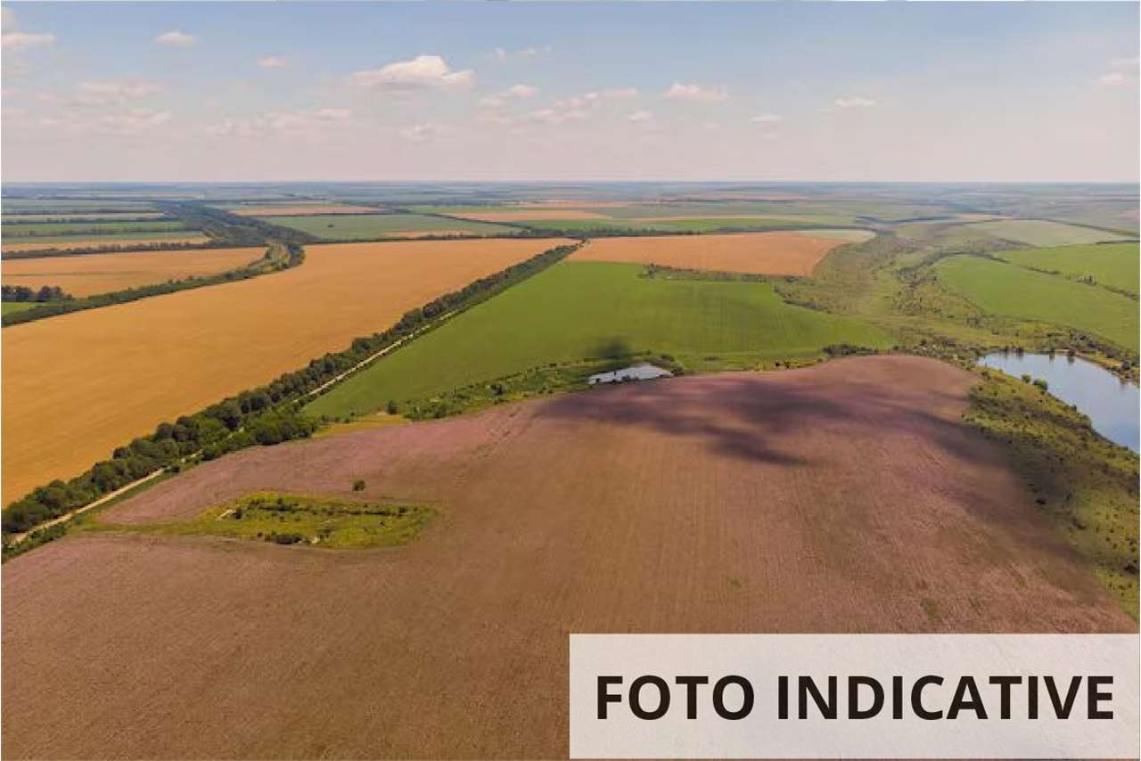 Foto annuncio 9
