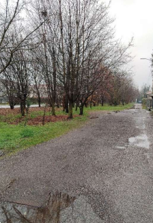 Foto annuncio 3