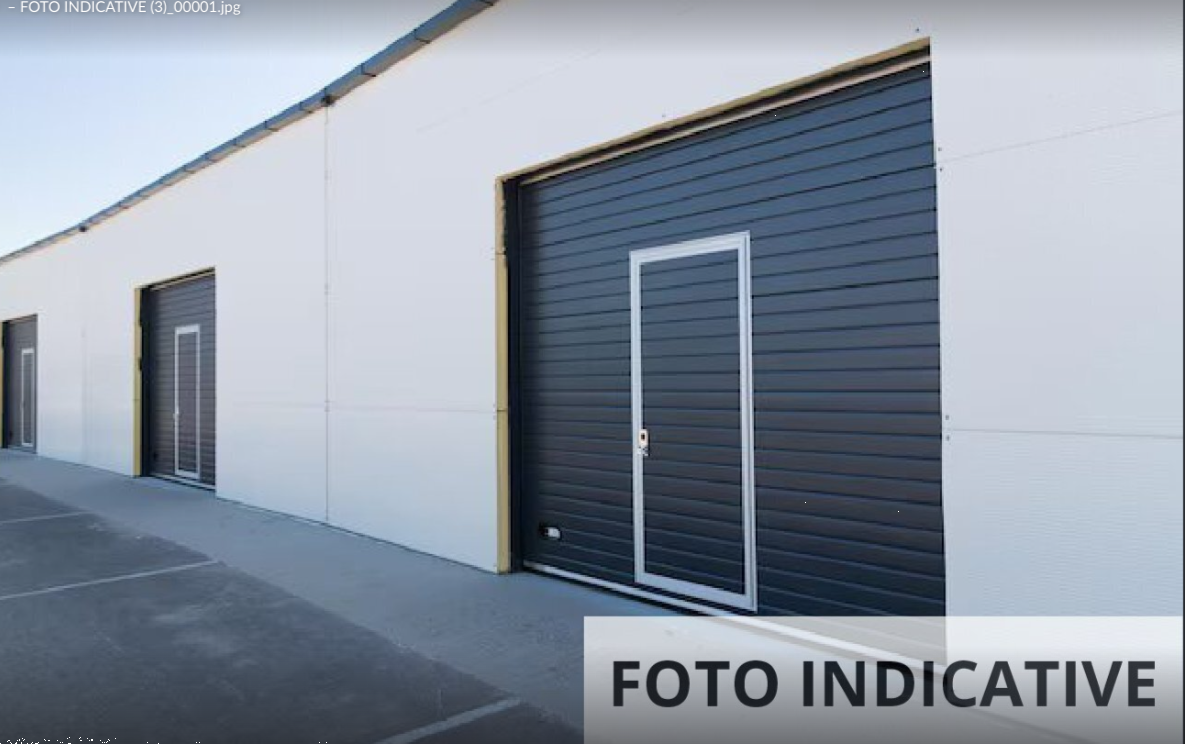 Foto annuncio 9