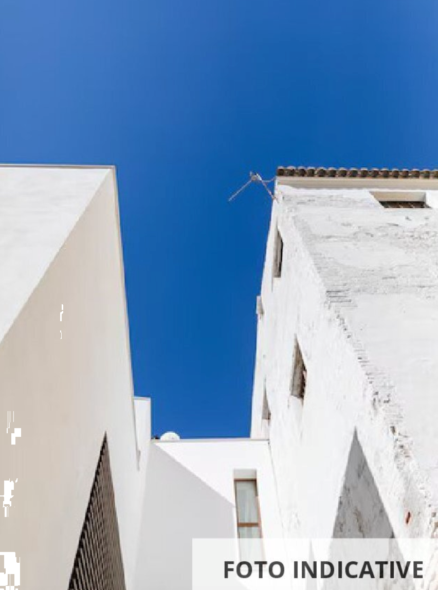 Foto annuncio 13