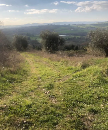 Foto annuncio 1