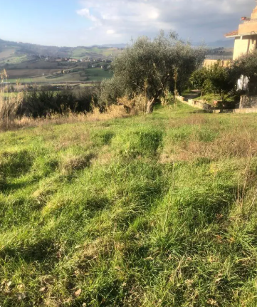 Foto annuncio 3