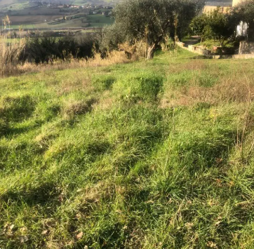 Foto annuncio 4