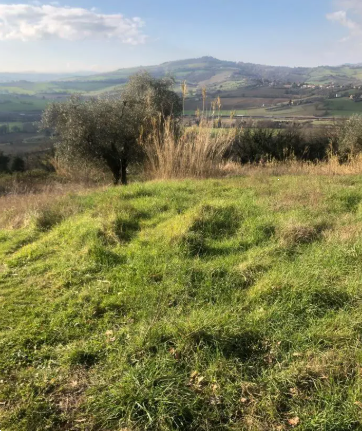 Foto annuncio 6