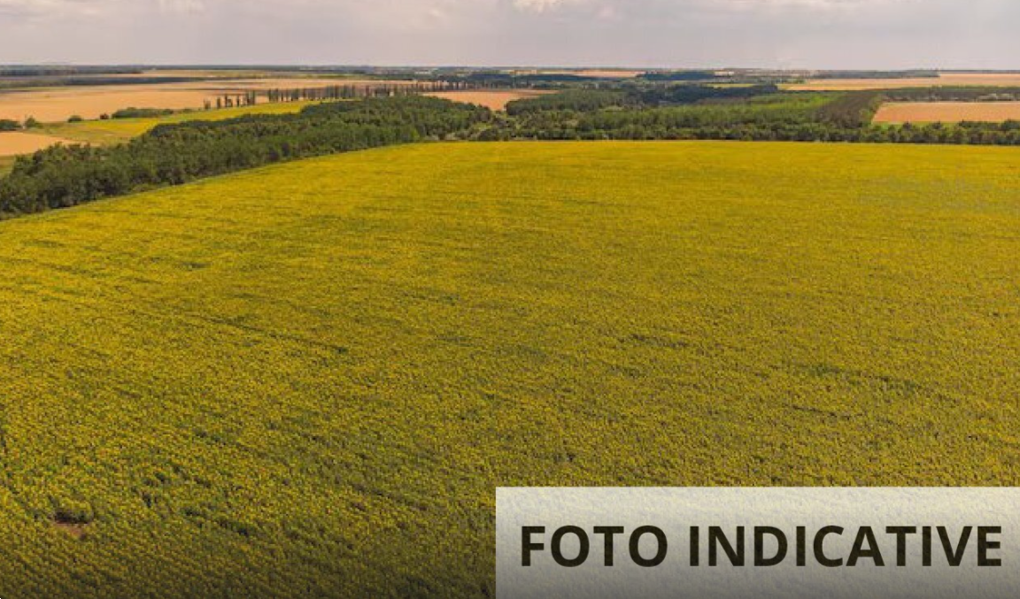 Foto annuncio 18