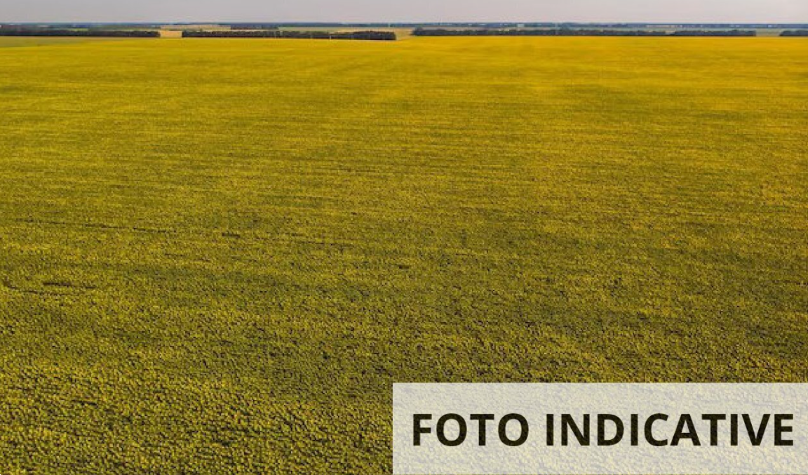 Foto annuncio 19