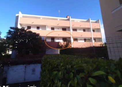 Foto annuncio 12