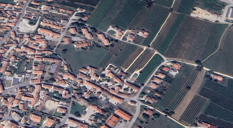 Foto annuncio 21